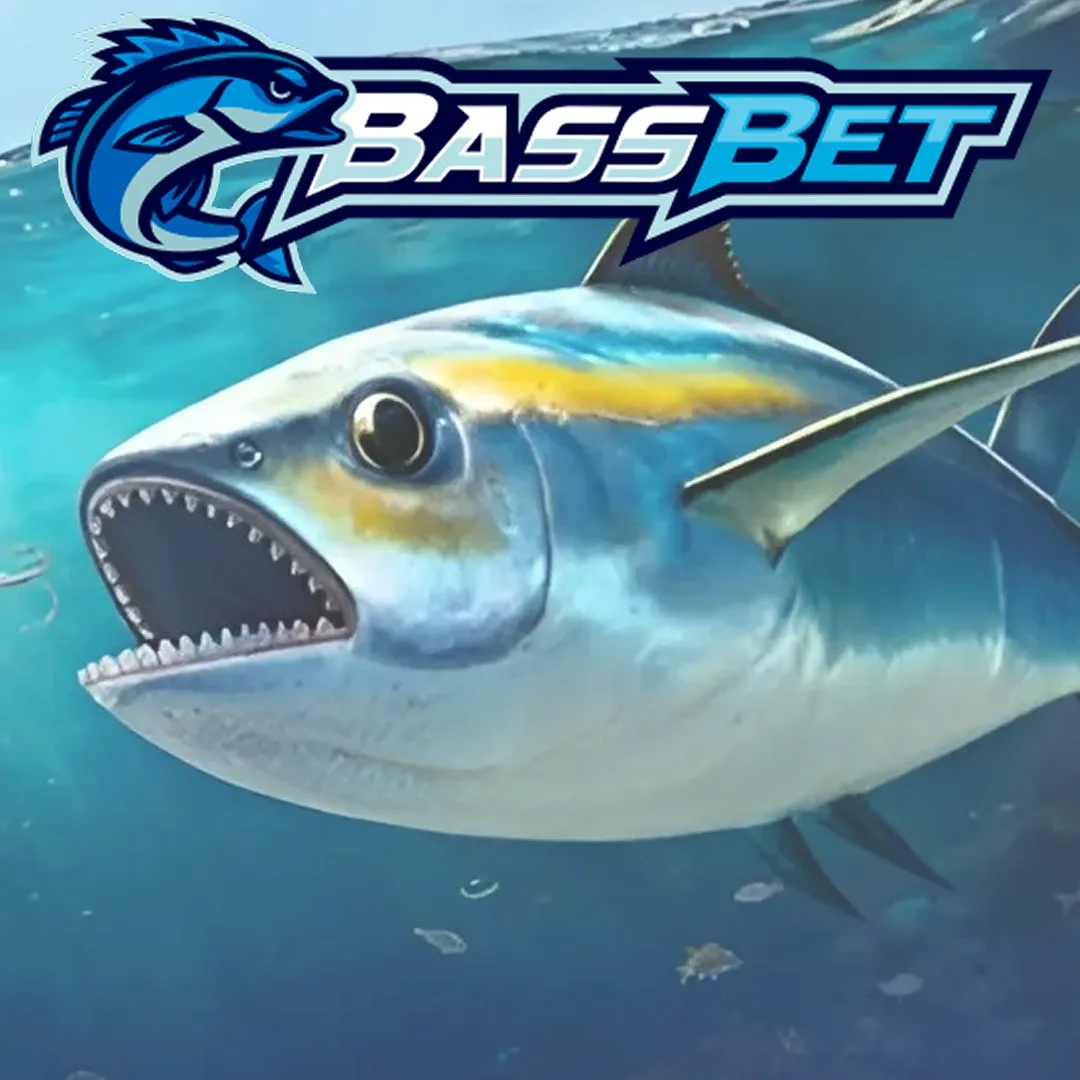 BassBet Casino : Bonus jusqu'à 500 Euro + 200 FS